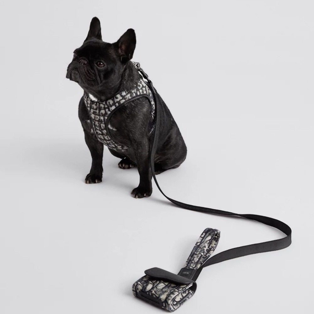 D'Or Paws Luxury Leash (Pre-Order)